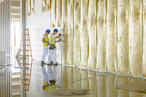 Types of Insulation We Offer in Maroa, IL